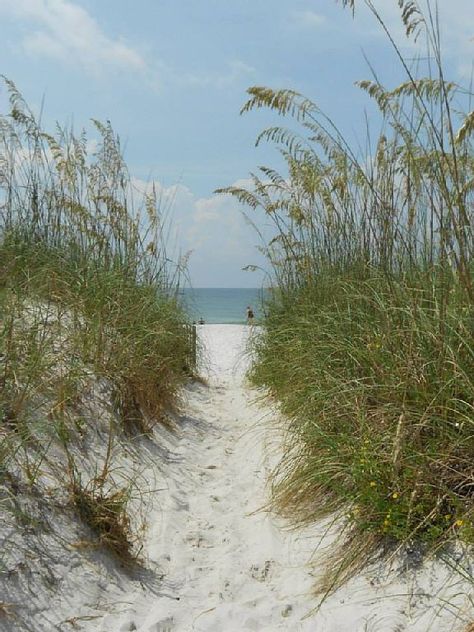 Alabama Vacation, Sea Oats, Beach Equipment, View Beach, Fort Morgan, Pool View, Budget Vacation, Pier Fishing, Vacation Home Rentals