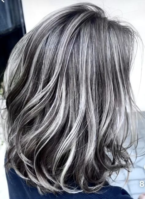 Dark Brown And Platinum Hair, Brown And Platinum Hair, Hair Grey Highlights, Brown Hair With White Highlights, Hair With White Highlights, Grey Hair Looks, Grey Highlights, Hair White, White Highlights