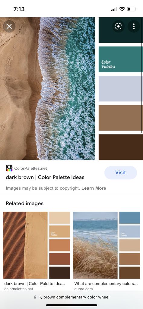 Moody Beach Color Palette, Ocean Green Color Palette, Brown Complimentary Colors, Dark Sea Color Palette, Green Ocean Color Palette, Complementary Color Wheel, Life Aquatic Color Palette, Green Beach, Brown Floors