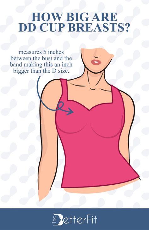 How Big Is a DD Bra Cup Size? | TheBetterFit Bra For Big Cup, Dd Bra Size, Dd Bra, Bra Cup Size, Small Bra, Dd Cup, Bra Cup Sizes, Minimiser Bra, Bra Brands