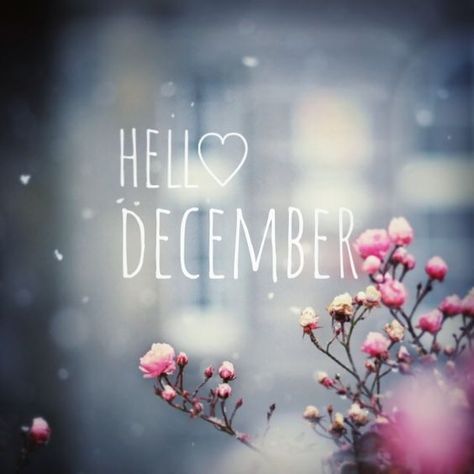 Hello December december december quotes hello december hello december quotes Hallo December, Hello December Pictures, Hello Novembre, December Wallpaper Iphone, Hello December Images, November Pictures, December Images, December Pictures, Welcome December