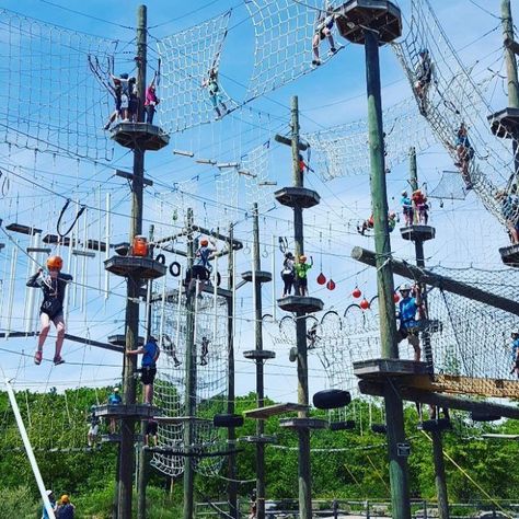 2. Soar through the air at Take Flight Aerial Adventure Park in Kittery. Maine Forest, Adventure Places, Adventure Forest, High Ropes, High Ropes Course, Park Forest, Maine Travel, Ropes Course, National Park Road Trip