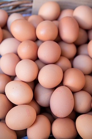 Sitting By The Pool, Storing Eggs, Eggs Image, Egg Pictures, Fresh Egg, Brown Eggs, Boiled Egg Diet, Farm Eggs, Shapes Images