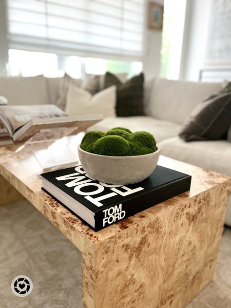 Restoration Hardware Moss Bowl, Moss Bowl Decor, Moss Bowl, Concrete Bowl, Deco Salon, Room Style, Living Room Style, Restoration Hardware, Interior Architecture Design