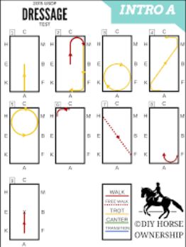 Dressage Patterns, Dressage Tack, Dressage Tests, Test Tips, Riding Exercises, Dressage Exercises, Horse Training Exercises, Horseback Riding Tips, Horse Lessons