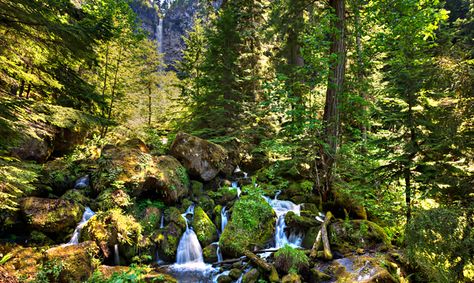 5 Must-See Waterfalls Along The Rogue And Umpqua Rivers | Travel Oregon. Watson Falls Rogue River Oregon, Visit Oregon, Travel Oregon, Explore Oregon, Oregon Hikes, Oregon Waterfalls, State Of Oregon, Waterfall Hikes, Two Rivers