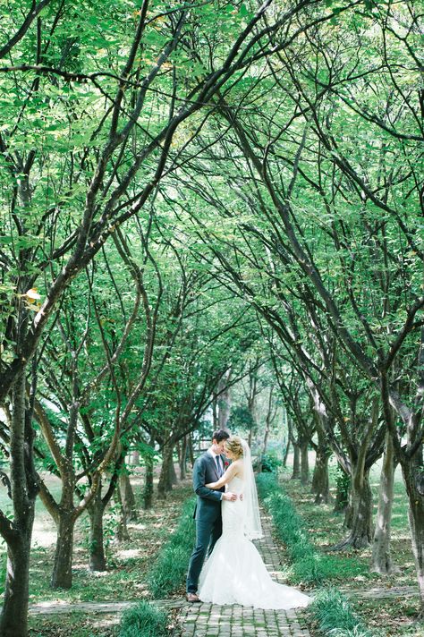 Romantic Garden Wedding, Green Backdrops, Married Couple, Romantic Weddings, Romantic Wedding, Garden Wedding, Photo Inspiration, Real Weddings, Wedding Planning