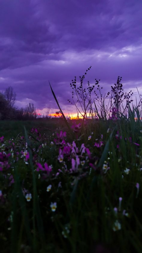 Benefits Of Reading Books, Benefits Of Reading, Purple Clouds, Whatsapp Wallpaper Cute, Achieve Goals, Pretty Landscapes, Unlock Your Potential, Pretty Sky, Sunset Pictures