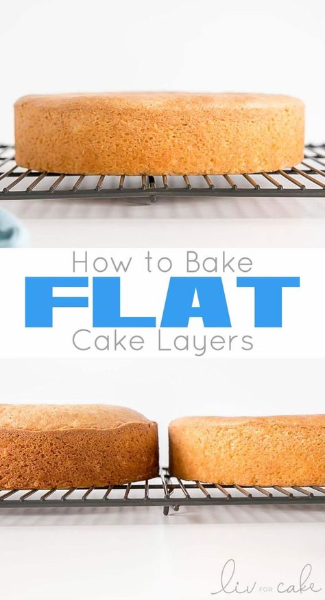 How To Make Flat Cake Layers, How To Layer A Cake With Frosting, Flat Cake Layers How To Get, Homemade Chocolate Wedding Cake, Easy Elegant Birthday Cakes, Cake Decorating Easy Simple, Airbrush Cakes Beginner, Wedding Cakes Elegant Classy Simple, How To Level A Cake