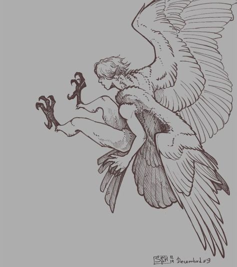 Human With Bird Talons, Humanoid With Wings, Human With Bird Legs Drawing, Bird Man Art, Bird Talons Drawing, Bird Legs On Human, Bird Person Oc, Bird People Character Design, Winged Human Art