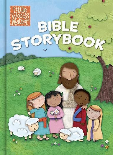 Little Words Matter Bible Storybook (padded board book): B&H Kids Editorial Staff, Conger, Holli: 9781433686436: Amazon.com: Books Noah And The Ark, Baby Bible, David And Goliath, Christian Resources, Digital Reading, Words Matter, Birth Of Jesus, Kids Journal, Kids Story Books