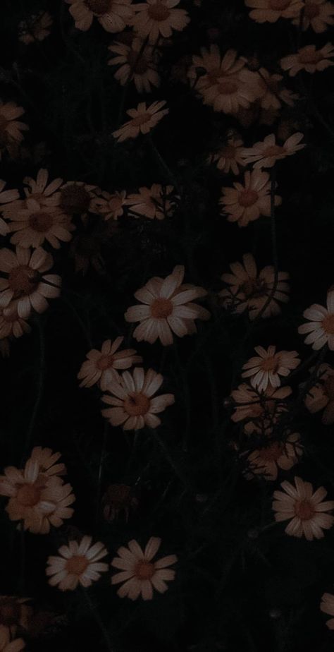 ... - @ash.filwmas Wilted Flowers, Phone Wallpapers Vintage, Halloween Digital Art, Flowers Black Background, Dark Background Wallpaper, Very Simple Mehndi Designs, Daisy Wallpaper, Wallpaper Doodle, Simple Phone Wallpapers