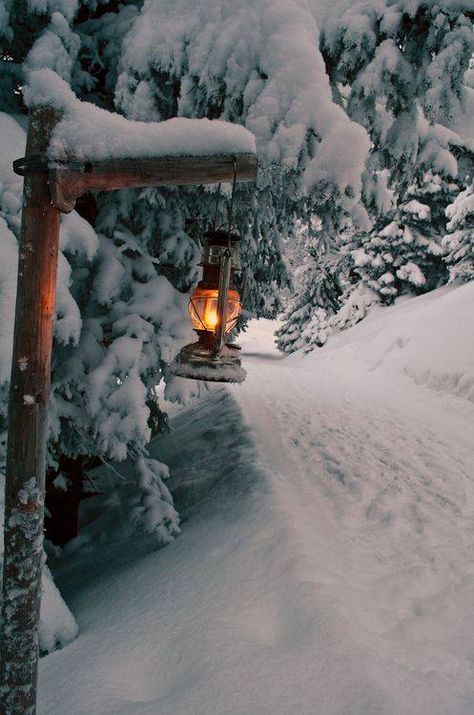 lamp light in winter wonderland Winter Schnee, Winter Szenen, I Love Winter, Winter Love, Winter Magic, Winter Scenery, Winter Beauty, Snow Scenes, Winter Pictures