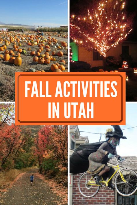 Family Fall Activities, Utah Activities, Utah Fall, Fall Adventures, Utah Lakes, Utah Vacation, Northern Utah, Utah Adventures, Adventure Family