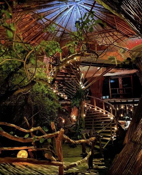 House Inside Tree, Plant House Aesthetic, Inside Tree, Bamboo Hut, Academia House, Tiki House, Tiki Restaurant, Pink Apartment, Cool Fish Tanks