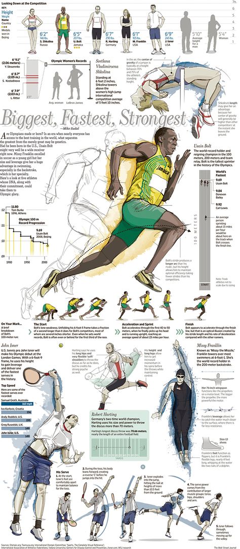 Infographics & illustrations Sports Infographic Design, Workout Infographic, Sport Infographic, Sports Infographic, Dryland Workout, Fitness Infographic, Professional Infographic, Food Reels, Sports Illustration