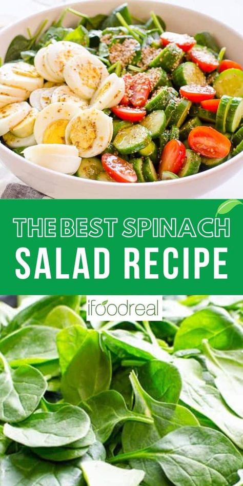 The best ever healthy Spinach Salad recipe made with eggs, tomatoes, cucumbers and an easy salad dressing! Simple recipe for a weeknight or a celebration table. Healthy Spinach Salad, Best Spinach Salad, Easy Healthy Salad Dressing, Spinach Egg Salad, Spinach Salad Dressing, Spinach Recipes Healthy, Simple Spinach Salad, Dressing Simple, Spinach Salad Recipes