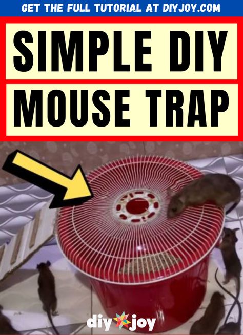 How To Make A Mouse Trap, Diy Mouse Trap, Mouse Trap Diy, Electric Mouse Trap, Diy Mouse, Pottery Barn Decor, Rat Traps, Mouse Trap, Mouse Traps