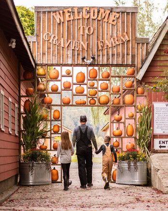 Fall Aesthetic Pictures, Pumpkin Patch Farm, Best Pumpkin Patches, Pumpkin Festival, Harvest Party, Fall Fest, Pumpkin Farm, Farm Stand, Pumpkin Season