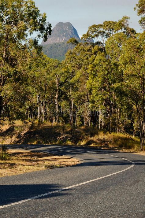 The road to mount Beerwah (Glasshouse Mountains). This picture shows mount Beerw #Sponsored , #sponsored, #ad, #mount, #Glasshouse, #shows, #Beerwah Glasshouse Mountains, Brisbane Queensland, Business Flyer Templates, 2025 Vision, Queensland Australia, Glass House, Business Flyer, Queensland, Creative Business