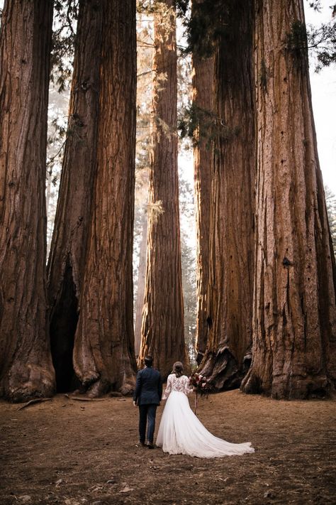 Epic Elopement, Unusual Wedding Venues, Forest Elopement, Elopement Destinations, Joshua Tree Wedding, Yosemite Wedding, Unusual Weddings, Foggy Forest, Adventure Photographer