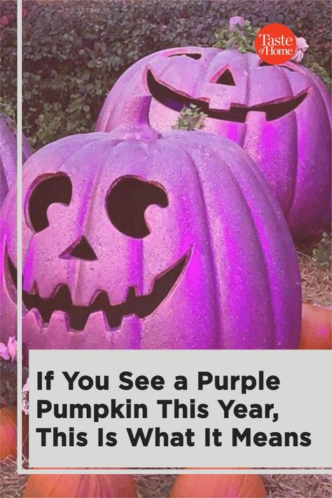 Purple Halloween Decorations, Pumpkin Meaning, How To Make Purple, Teal Pumpkin, Purple Pumpkin, Halloween Pumpkins Painted, Purple Cow, Kids Healthy, Pumpkin Projects