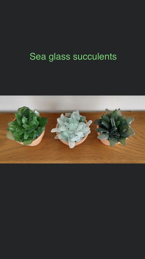 Sea Glass Succulent Diy, Sea Glass Succulent, Succulent Diy, Sea Glass Decor, Seaglass Art, Plant Hacks, Sea Glass Art, Succulents Diy, Beach Art