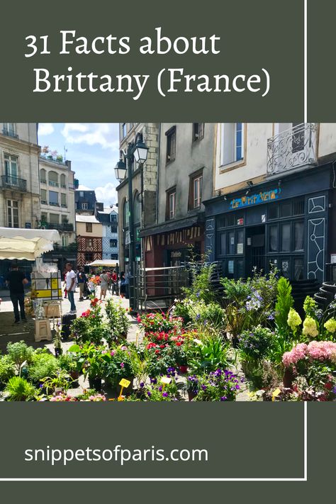 Get the facts about Brittany (Bretagne), the western-most region in France. With interesting facts, weird and quirky facts, facts for kids, and more. Facts About France, D Day Beach, Paris History, Little Britain, Day Trip From Paris, Fresh Oysters, William The Conqueror, Brittany France, Facts For Kids