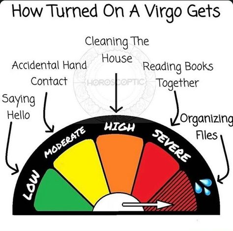 Virgo Turn Ons, Virgo Sexuality, Virgo Memes, Let Go Of Everything, Astrology Planets, High Tension, Getting Played, Writing Therapy, House Book