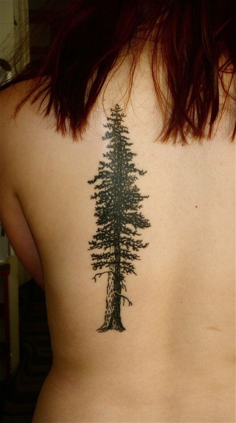 simply stunning tattoo. Sequoia Tree Tattoo, Giant Sequoia, Sequoia Tree, Tree Tattoo, Tattoo On, Tumblr