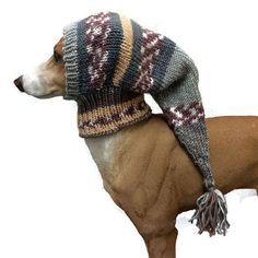 Sage green greyhound Sage green greyhound snood dog hat italian greyhound hat dog clothes dog clothing pet hat lurcher galgo whippet dog snood Dog Snood, Dog Clothes Patterns, Dog Hat, Italian Greyhound, Crochet Dog, Dog Sweaters, Dog Sweater, Dog Coats, Whippet