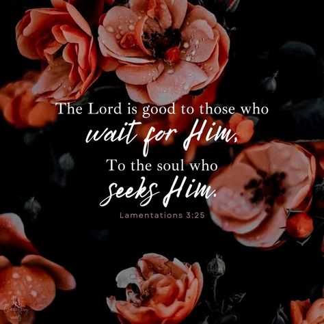 Lamentations 3:25 - The Lord is good to those who wait for him, to the soul who seeks him. Follow us on Instagram for more! Lamentations 3 25, Bible Education, Loving Words, Wait Upon The Lord, Beautiful Sayings, Bible Truths, Powerful Scriptures, Trusting God, Favorite Scriptures