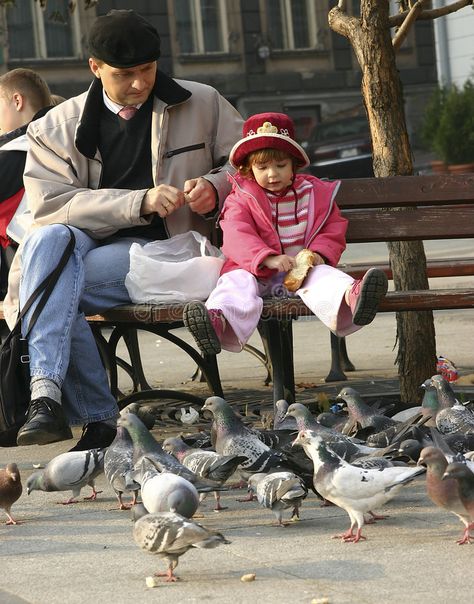 Feeding Pigeons, Feeding Birds, Become A Photographer, Basement Bar Designs, Pigeon, Bar Design, Bird Feeders, Stock Photography, Birds