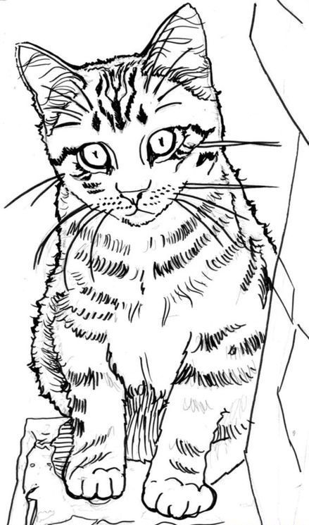 Cute Kitten Cat Step By Step, Kitten Coloring Pages, Dogs Painting, Kittens Coloring, Silhouette Dog, How To Sketch, Cat Drawing Tutorial, Cats Art Drawing, Drawing Things