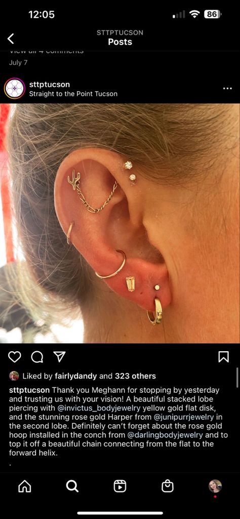 Forward Helix And Flat Piercing, Flat And Forward Helix Piercing, Forward Helix Chain, Double Flat Piercing, Floating Helix Piercing, Flat Piercing Jewelry, Forward Helix Hoop, Front Helix Piercing, Piercing Curation