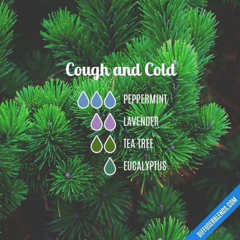 Cough and Cold - Essential Oil Diffuser Blend #Essentialoildiffusers Cold Diffuser Blend, Oil For Cough, Essential Oils For Cough, Lilin Aroma, Crunchy Mom, Essential Oils For Babies, Săpunuri Handmade, Essential Oils For Colds, Essential Oil Diffuser Blends Recipes