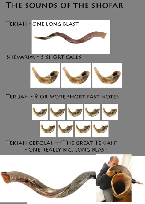 The Sounds of the Shofar [joyfulljewish.wordpress.com] Yom Teruah, Jewish Feasts, Feasts Of The Lord, Messianic Judaism, Hebrew School, Hebrew Language, Learn Hebrew, Rosh Hashana, Yom Kippur