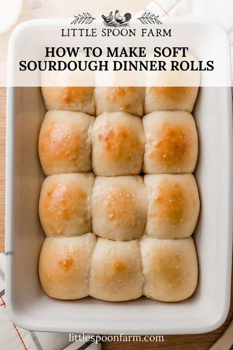 Little Spoon Farm, Sourdough Dinner, Sourdough Dinner Rolls, Recipe Using Sourdough Starter, Sourdough Rolls, Sourdough Bread Starter, Sourdough Starter Discard Recipe, Homemade Sourdough Bread, Bread Starter