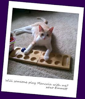 Cute kitty plays Mancala and like OMG! get some yourself some pawtastic adorable cat apparel! Kat Diy, Homemade Cat Toys, Diy Cat Toys, Cat Puzzle, Homemade Cat, Ideal Toys, Kitten Toys, Kitten Care, Interactive Cat Toys