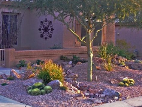 Desert theme front yard Desert Front Yard, Desert Landscaping Ideas, Ideas For Front Yard, Xeriscape Landscaping, Front Yard Landscape, Desert Theme, Drought Tolerant Landscape, Arizona Landscape, Yard Landscape