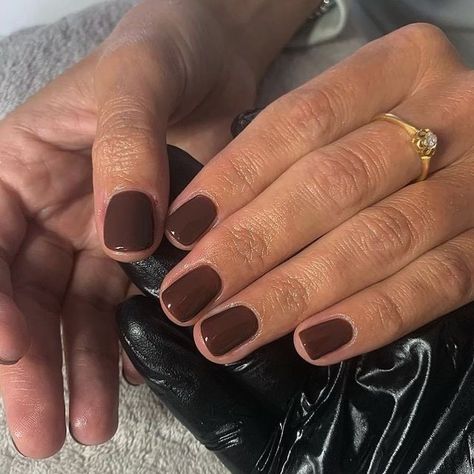 Brown Fall Manicure, Brown Tip Gel Nails, Brown Mani Pedi, Shades Of Brown Gel Nails, Gel Nails Ideas Short Brown, Autumnal Nails Gel, Squoval Brown Nails, Short Squoval Nails Brown, Call Brown Nails