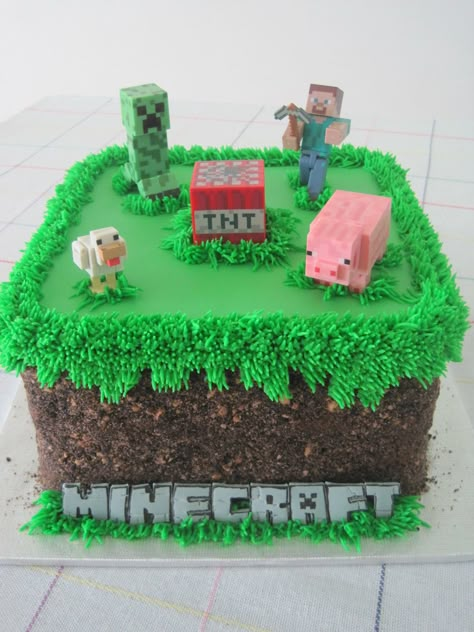 Minecraft Dort, Minecraft Grass Block, Pastel Minecraft, Grass Block, Fondant Letters, Minecraft Birthday Cake, Teddy Grahams, Diy Birthday Cake, Anniversaire Diy