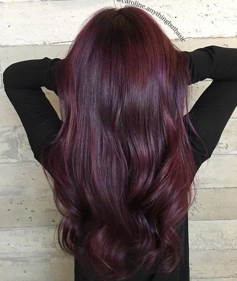 Dark Vampire Hair, Dark Purplish Red Hair, Dark Red Almost Black Hair, Dark Cherry Hair Color Burgundy, Dark Ruby Hair, Burgundy Hair Plum Purple, Purple Brunette Hair, Cherry Coke Hair Color With Highlights, Burgundy Purple Hair