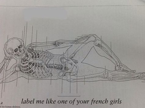 Anatomy professor win Anatomy Humor, The Meta Picture, Science Jokes, Medical Humor, Science Humor, French Girls, How To Stay Awake, Nerd Alert, Nurse Humor