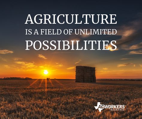 Agriculture is bigger than people think. It is not just farming, but is a field of unlimited possibilities. #agriculture #texasagriculture #agquote #quote Farming Quotes Agriculture, Agriculture Sayings, Agricultural Science Aesthetic, Agriculture Quotes Inspiration, Farm Quotes Agriculture, Agriculture Slogans, Farmers Quotes, Ranch Quotes, Agricultural Photography