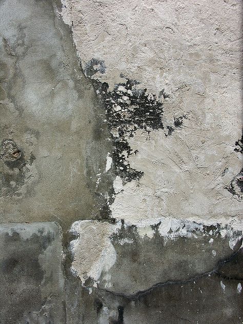 PIerre-Arnaud Gillet | Composition Grise. I just want to touch it, reminds of rocks & the sea. Foto Macro, Peeling Paint, Pattern Texture, Old Wall, Jackson Pollock, Shades Of White, Surface Textures, Color Textures, Textures Patterns