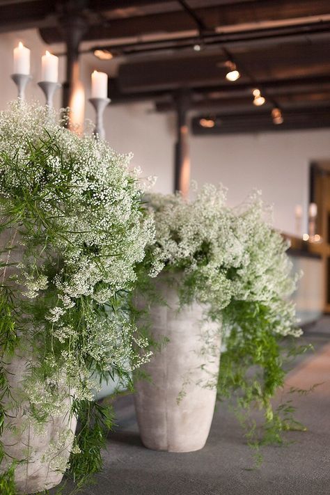 Green Wedding Reception, White Green Wedding, Tiny White Flowers, Flowers And Greenery, Garden Containers, Lodz, White Gardens, Green Wedding, Queen Anne