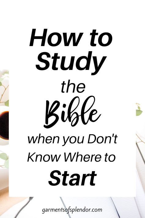 Study The Bible For Beginners, Ways To Study The Bible, Bible For Beginners, Ways To Study, Studying The Bible, Bible Studies For Beginners, Study Books, Learn The Bible, Christian Homemaking