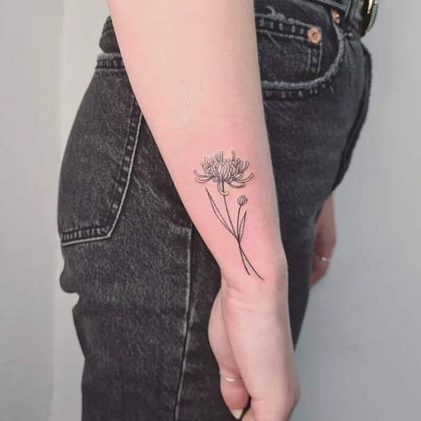 Minimal Crysanthemum Tattoo, Chrysanthemum Tattoo With Name In Stem, One Line Chrysanthemum, Chrysanthemum Tattoo Linework, White Chrysanthemum Tattoo, Black And White Chrysanthemum Tattoo, Christhamum Tattoo, Simple Chrysanthemum Tattoo Outline, Chrysanthemum And Morning Glory Tattoo