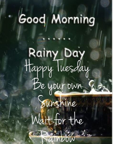 Rainy Morning Quotes, Friday Morning Images, Rainy Good Morning, Good Morning Rainy Day, Happy Tuesday Morning, Rainy Day Quotes, Saturday Morning Quotes, Tuesday Quotes Good Morning, Good Morning Wishes Friends